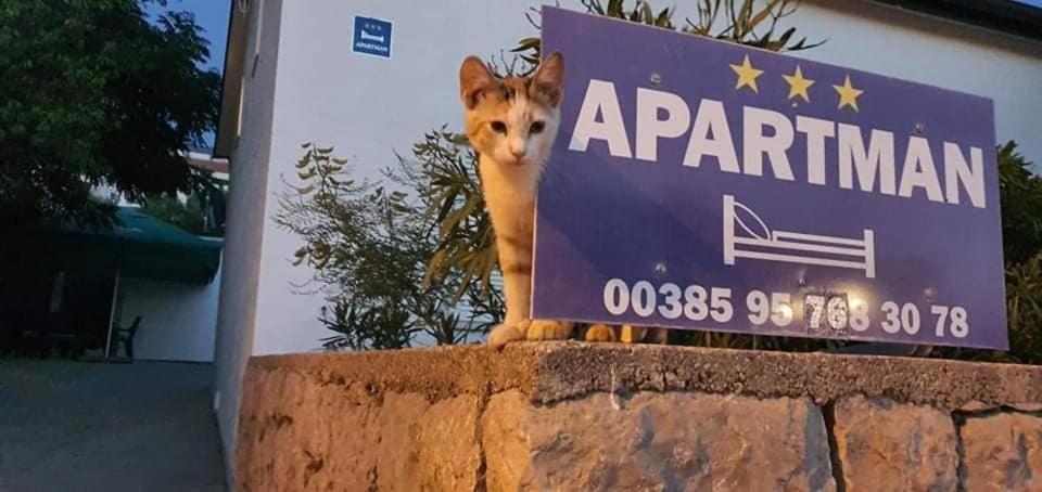 Apartman Zahira Karlobag Bagian luar foto